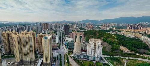 惠州大亚湾新闻爆料,揭秘神秘项目引发热议  第1张